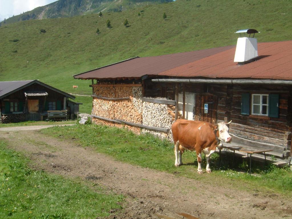 Haus Brugglbach Apartment Kirchberg in Tirol Exterior foto